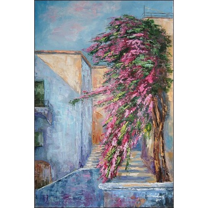 Bouganville a S. Angelo